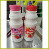 ⇨ ♙ ↂ Dutch Mill Delight Proyo Yogurt Drink 400ml