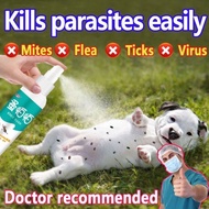 Remover For Dog Anti Flea And Tick For Dog Spray Pamatay Garapata Sa Aso Cat 100ML/500ML