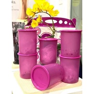 TUPPERWARE CAMELLIA ONE TOUCH GIFT SET 1.25L (6pcs)