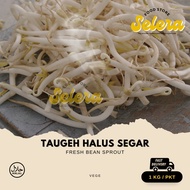 【SELERA】TAUGEH SEGAR BEANSPROUT | 1/3kg | RESTORAN | HOTEL | HOSPITAL | GERAI | DAILY FRESH