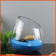 [PrettyiaSG] Clear Slant Cut Bowl Glass Vase Plant Terrarium Plant Holder