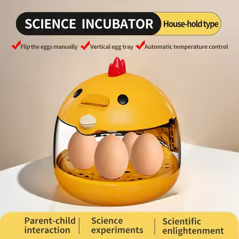Egg incubator incubator light transparent window 5 eggs humidity control automatic temperature contr