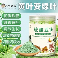 Fertilizer For Fertilizer Sulfate Plant Gardenia Special Iron Fertilizer Adjustable Soil Compound Fe