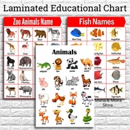 ANIMALS Educational Laminated Wall Chart | A4 Size | Animals Chart | Educational Wall Chart for Kids