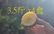 【預購！來自福壽山 日光洗禮的不套袋蜜蘋果中顆 3.5斤x4】饕客的最愛 就是願意多等⼀個月