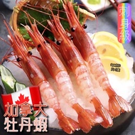 【加貝鮮水產】🧊冷凍牡丹蝦海老女王生食級加拿大日匠刺身多規格