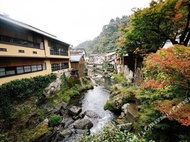 Hot Spring Guesthouse Tojiya