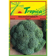 BROCCOLI SEEDS (ISABELA F1) BY TROPICA Broccoli Seeds (Isabela F1) By Tropica