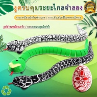 Remote Control Snake Radio Special Promotion
