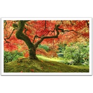 Jigsaw Puzzle - Pintoo - H2296 - Japanese Garden in Portland