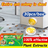 【Shopee TOP 1！Ant bait 】AG Ant killer bait Ant bait Semut racun Ant bait killer Racun semut berkesan