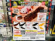 ⚠️現貨$169/套，不設留貨先到先得⚠️  BANDAI GASHAPON 扭蛋  《大圖鑑系列》 【日本大鯢】& 【墨西哥鈍口螈】可動收藏系列  全長約11cm 8個可動關節 大山椒魚 美西螈 六
