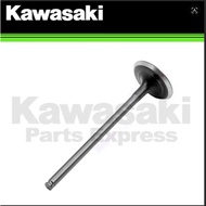 KAWASAKI ZX14 GTR1400 VALVE-EXHAUST P/N 12005-0037