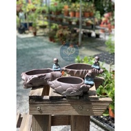 💚GFS💚【小和尚】紫砂花盆 [Little Monk Purple Sand Pot] (READY STOCK现货)