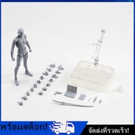 [Nimman] Luxe SH Figuarts Body Kun Chan DX Set Drawing Figures for Artists