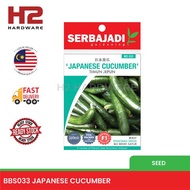 BBS-033 JAPANESE CUCUMBER/TIMUN JEPUN