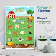 Poster HEWAN TERNAK / Binatang Ternak Poster Belajar Edukasi Anak