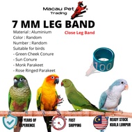 MPT 7mm Bird Anklet Bird Anklet Bird Anklet Bird Anklet Bird Anklet