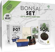 Leaves and Soul Complete Bonsai Set - Small Blue Rectangle Bonsai Pot | 160ft of Bonsai Hobby Wire |