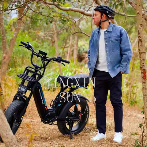 New Model 20inch Aluminum Alloy Frame 7 Speed Snow Beach Fat Tyre Ebike 750 Watt Fat Tire Fatbike El