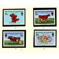 Guernsey - 1970 Guernsey Cow - High Value