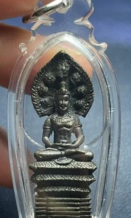阿贊哥旁＜澤度金＞