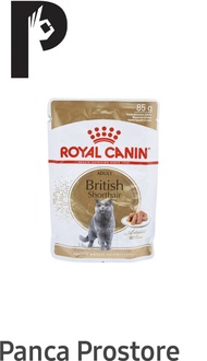 Royal Canin Makanan Kucing British Shorthair Pouch 85 Gr