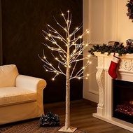 6 Feet Lighted White Birch Tree, Warm White USB 8 Modes Dimmable Control for Indoor Outdoor White Bi