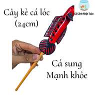 CÂY KÈ CÁ LÓC GIÚP CÁ SUNG HƠN DÀI 24CM MÀU NGẪU NHIÊN