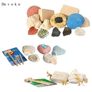 [Devoko] Digging Kit Science Fossil Digging DIY Activities Gemstone Rocks Treasures for Boys Girl Ed