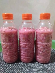 Pedak Udang/Hakoi/Hekoi/Cincalok Udang Singkawang 320gram
