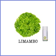 ♙ ◩ Rijk Zwaan Lettuce Pelletized 100 Seeds | Nutrihydro