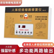 Human Body Massage Electric Therapy Device Hebei Acid-Base Balance dds Bioelectric Beauty Massager E