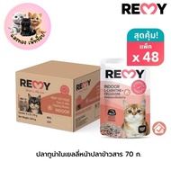 (ยกลัง 48 ซอง) Remy Pouch อาหารเปียก สูตรดูแลสุขภาพ สำหรับแมว 1 ปีขึ้นไป ขนาด 70 กรัม