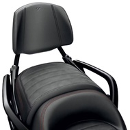 Bombardier Foldable Passenger Backrest