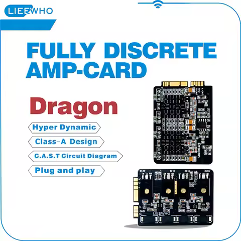 LIEEWHO Hi-End Fully Discrete For HIFIMAN HM901R U S 802 650 Dedicated AMP.Card
