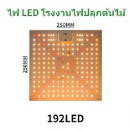 LM281B ไฟปลูกต้นไม้ ไฟledปลูกต้นไม้ ไฟปลูกต้นกันชา 2000W 3000W สเปคตรัม โตเร็ว2เท่า ไฟปลูก เหมาะสำหรับพืชทุกชน สำหรับปลูกพืชเรือนกระจก