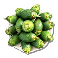 Hainan Qingguo Betel Nut Fresh Fruit Raw Betel Nut Fruit Small Fruit Raw Fruit with Ingredients Leaf