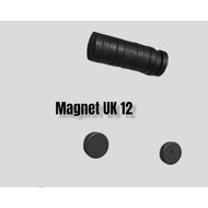 Small Magnets / Earrings / Fridge Magnets Per Pcs