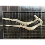 HPSP EXHUAST S/STEEL SENAPANG PIPE ON RXZ