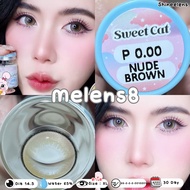 **มีค่าสายตา** คอนแทคเลนส์รายเดือน Sweetcat (Shinee) Dia 14.5 ค่าอมน้ำ 65 %