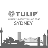 ที่นอน TULIP SYDNEY ที่นอนนุ่มไม่ปวดหลัง พ็อกเก็ตสปริง 5 โซน กันไรฝุ่น สุญญากาศแบบกล่อง หนา10.5 Topper Firm ที่นอน 3.5 ฟุต