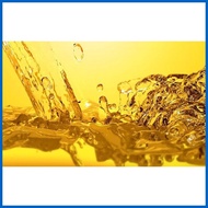 ◷ ◰ ◭ Freeto Pure Vegetable Cooking Oil 15kg