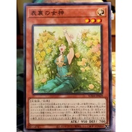 YUGIOH《表裏の女神》Goddess of Duality SUDA-JP029 NormalRare