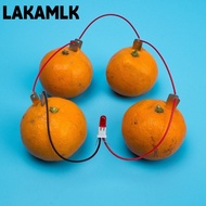 LAKAMLK Fruit Battery Science Experiment Kit, STEM Experiment Kit Potato Powered Electricity Experim