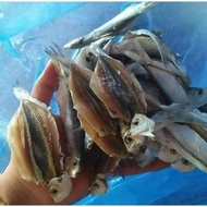 Ikan Masin Tamban Belah 300gram / Ikan Tamban Kering / Ikan Kering Pantai Timur