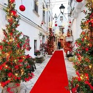 1pc Wedding Celebration Red Carpet,White Carpet, Holiday Party Classic Red Carpet, Featherless, Perf