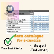 Data catalogue for e-invoice - SUITABLE FOR BEGINNER FOR USING E-INVOICE