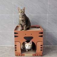 日本暢銷 - 直立式雙層瓦楞紙貓爪板 折疊替換式貓抓板 - 老虎款 42x42x40cm