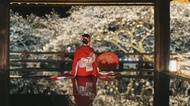 Cherry Blossom Season Limited - 1-Day Tour to MIHO MUSEUM & Onjo-ji Temple (Mii-dera) for Night Cher